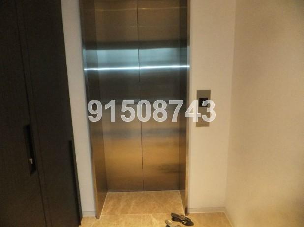 Leedon Residence (D10), Condominium #81845052